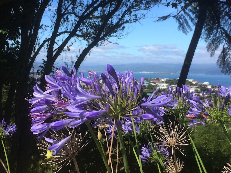 Blumen