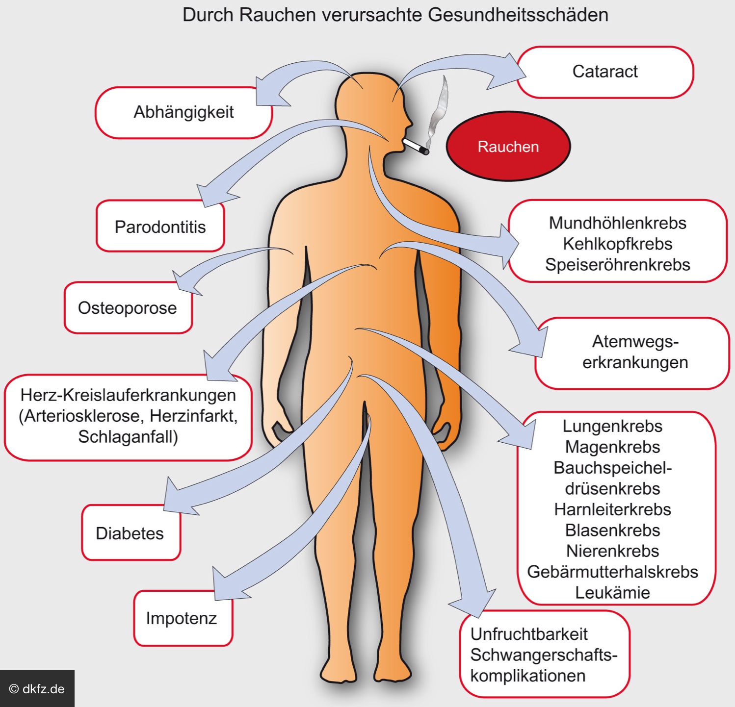 Rauchen