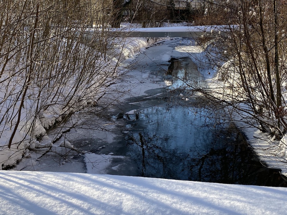 Winter