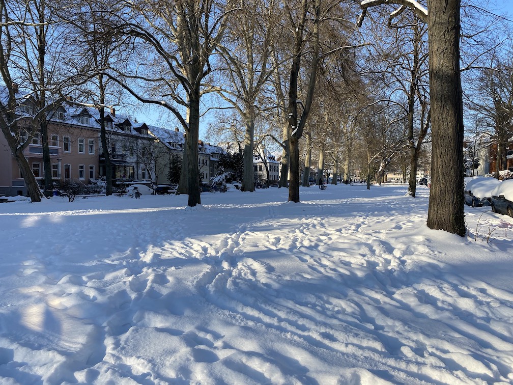 Winter